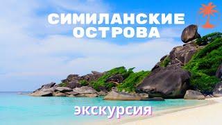 Симиланские острова | Обзор экскурсии с Tropic Tours