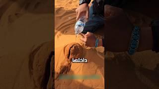 هكذا تشكل أعظم واد في العالم  #عجائب #غرائب #غموض #شورتس