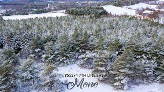 955394 7th Line EHS, Mono, Ontario | The Gould Team