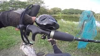 Snakehead fishing Philippines ( eupro K2 impro bc reel )lure Smith Potofu