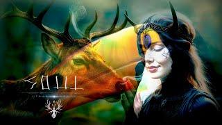 Soul ༒ ᛗ Awakening 2 Hours of Mystical Nordic Folk Music