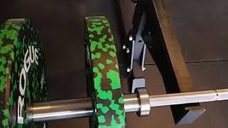Rogue Fleck vs. Vulcan Alpha