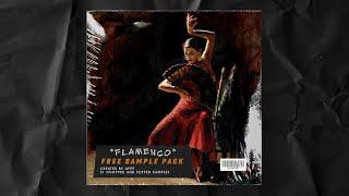 FREE SPANISH GUITAR SAMPLE PACK (20+) "FLAMENCO"  (Latino guitar, Spanish guitar loops, Vintage)