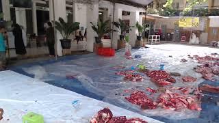[ LIVE ] Penyembelihan Hewan Qurban Masjid Imanuddin Part 2