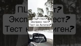 Купить билет на автобус Москва Киев  carlifemb.com #carlifemb #поездка #travel #поездканаавтобусе