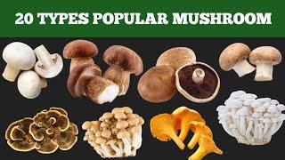 20 Types popular mushrooms  name | Mushroom name