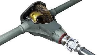 Axles & Driveline