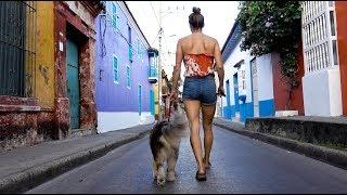 Welcome to Colombia | Life Without The Van | Max & Lee