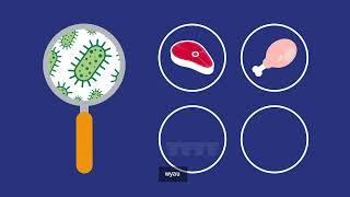 Yr ASB yn Esbonio: Salmonela