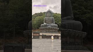 #설악산국립공원 #신흥사 #국가유산 #사찰 #25.05.24  사찰이 화성 용주사와 배치가 비슷. 조선시대 만들어진 사찰