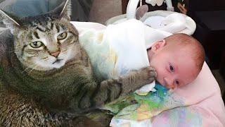 When your cat is the best babysitter ever ️Cute Cats and Human