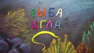 Рыба игла. Пластилиновый познавательный мультфильм. Syngnathus. Plasticine Animation