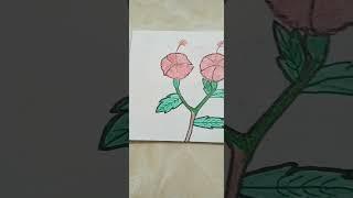 flowers    drawing Tasnim crafts and arts    