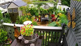 END OF AUGUST RELAXING TINY GARDEN TOUR | PLANTS FLOWERS AND BIRDS #garden #flowers #plants #new