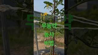 무농약 농사짓는 발뛰중 캠프데이즈 짜투리땅 국유지 내땅만들기 비책 문의 뛰발중