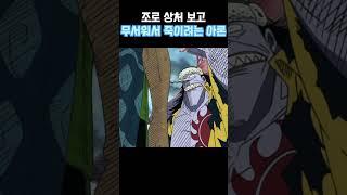 상처 보고 놀란 아론 #조로 #아론