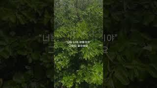 성문침례교회 성문기독학교 하바예 | 아버지와 아들 | 최사무엘 목사