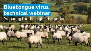 Bluetongue Virus - Preparing for the High Risk Period | AHDB Webinar