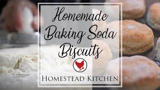 HOMEMADE BAKING SODA BISCUITS | Homestead Kitchen