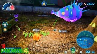 Pikmin 4 - Sunwashed Plateau Night - Protect Lumiknoll from Creature Blow Wind! - Blossoming Arcadia