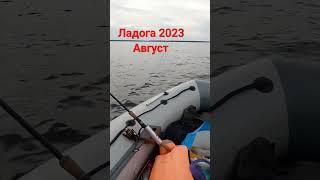 Ладога #дача #shorts2023