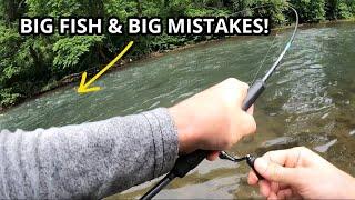 Jerkbait Fishing for WILD TROUT! (Part 1)