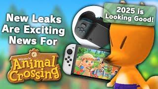 New Leaks Are EXCITING News For Animal Crossing Players