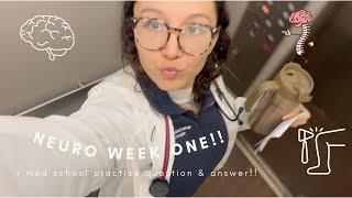 First Week of Neurology!! | Med School Vlog | Vivien Makhoul