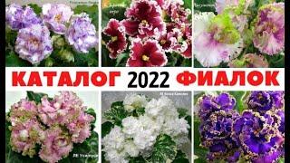  ФИАЛКИ на  2022 год ️  КАТАЛОГ моих СОРТОВ