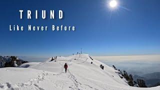 Triund Trek in January 2023 | Triund Trek Mcleodganj, Himachal Pradesh | Trippy Buddy