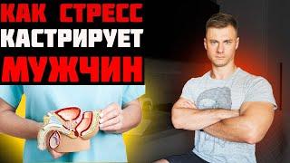 Как стресс кастрирует мужчин?