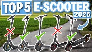 Top 5 E-SCOOTER mit Straßenzulassung 2025 | Beste E-Scooter für Deutschland