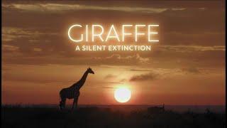 Faces of Africa - Giraffe: A Silent Extinction