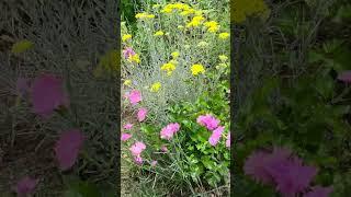 도심속 비밀의 정원.( Secret gardens in the City. )