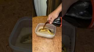 Banana And Coca-Cola science hack || #shorts #shortvideo #shortsfeed #banana #cocacola #science