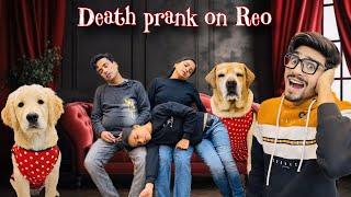 Death Prank On Reo | Leo Ne Kari Acting | Anant Rastogi