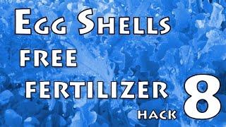 Vegetable Garden Hack #08 - Egg Shells are Free!