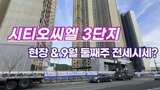 9월2주차) 시티오씨엘3단지 접수된 매물 가격  드림시티오부동산 대표: 함현숙 010-2750-5073