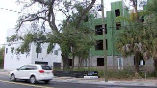 Tampa community blasts developer for request to take down grand oaks