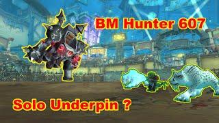 BM Hunter 607 | Solo Underpin ? | Commentary | WoW The War Within