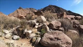 Anza-Borrego State Park - Palm Canyon - Alternate Route