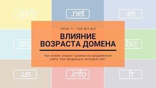  Влияние возраста домена на продвижение сайта  Секреты SEO продвижения.  Урок 11. Top-Bit.biz