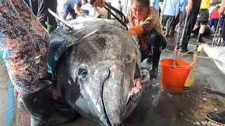 400kg Giant Bluefin Tuna and Marlin Catching and Cutting - Taiwan Street Food