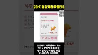 ️강아지영양제하루올데이 추천하는 제품, "강아지의 활력 비법!  하루올데이 영양제!"