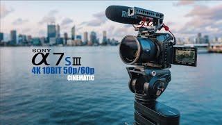 Sony A7SIII A7S3 10Bit 4K 50p/60p Video Test (Part 1)