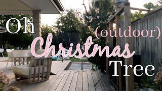 Picking out our outdoor Christmas tree & decorating it!