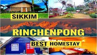 RINCHENPONG | Best Homestay | Sikkim | Pelling Sky Walk | Low Cost | NJP to NJP Package | 8509870920