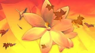 Free Video Background Flower Template No Text | Copyright Free Motion Graphic #background