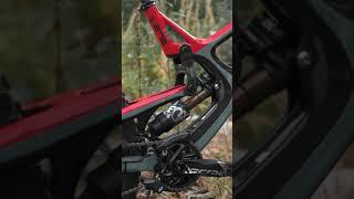 Insane MTB Edit - Downhill Bike 