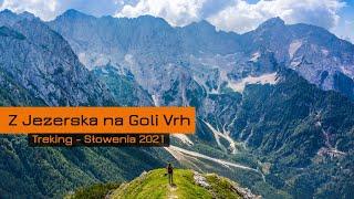 Na nagim szczycie, czyli trekking na Goli Vrh (Słowenia - Zgornje Jezersko)